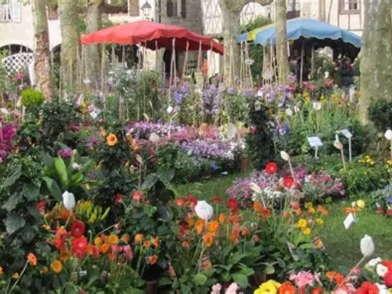 Agence d’excursions régionales indépendante et transport VTC