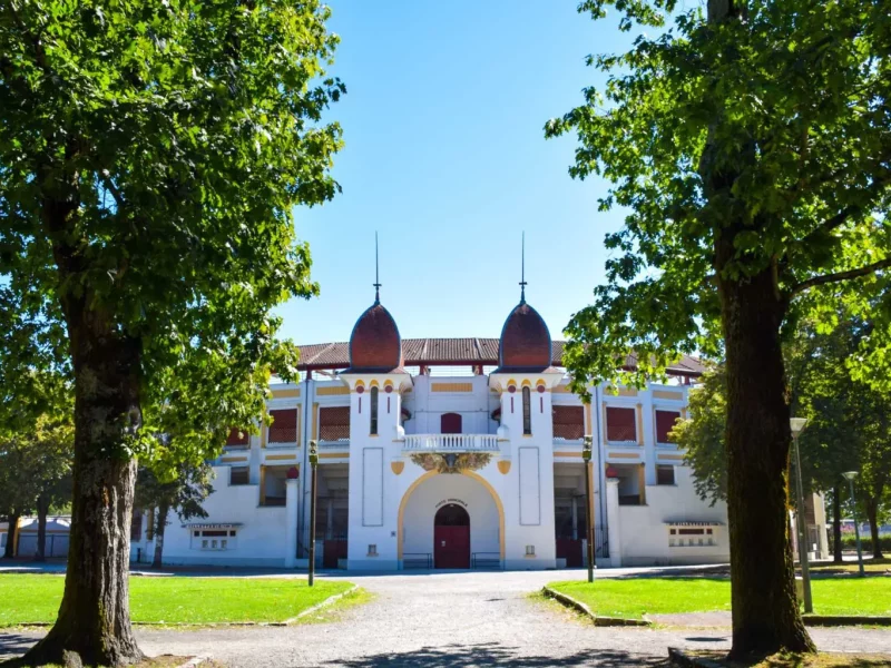 Agence d’excursions régionales indépendante et transport VTC