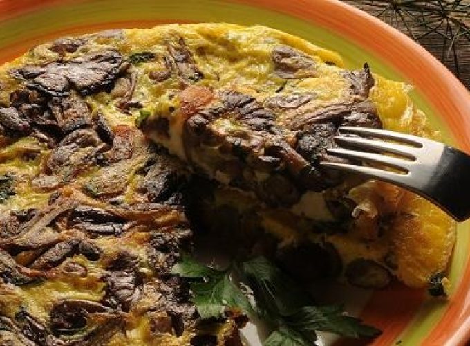 Agence d’excursions régionales indépendante et transport VTC