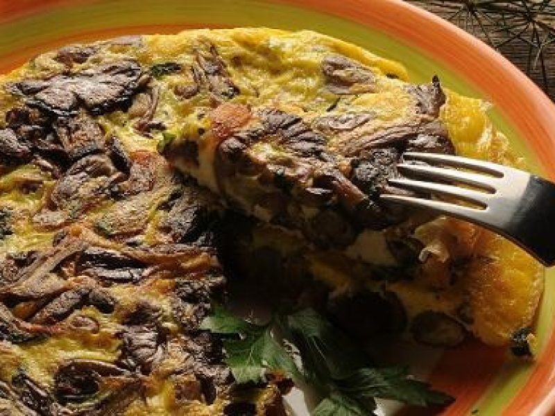 Agence d’excursions régionales indépendante et transport VTC